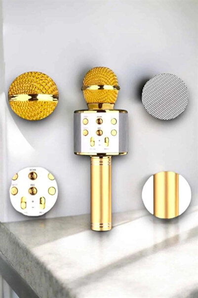 Twin Store ميكروفون كاريوكي بلوتوث محمول: مثير للإعجاب مع مدخل بطاقة الذاكرة