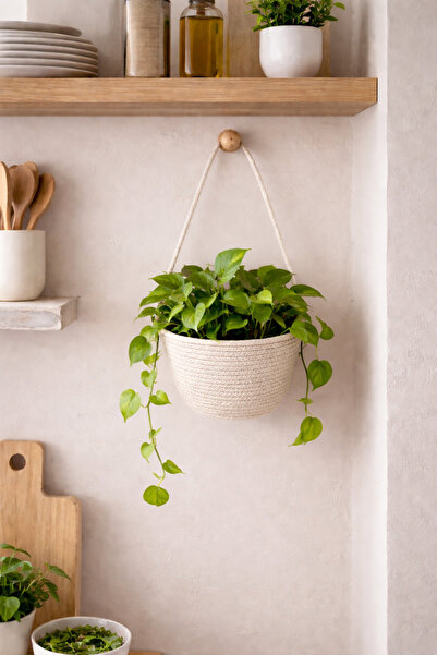 ÖRGÜM Sepet Dekoratif Çiçeklik Çok Amaçlı Organizer 20x10 cm ( ASMA APARATI D...