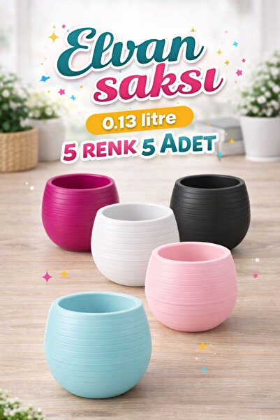 MF Botanik Elvan Saksı 5'li Set 0,13 litre- 5 renk dekoratif mini saksı