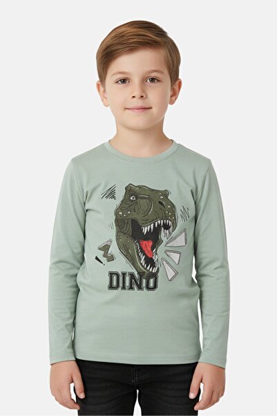 Sinsay Toddlers Boy Graphic Print Long Sleeve T-Shirt, Sage Green