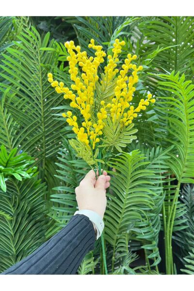 KOZALILAR Doğal Görünümlü Dekoratif Yapay Mimoza Dalı