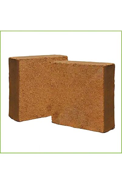 Generic قالب ألياف جوز الهند من تصميم طالب