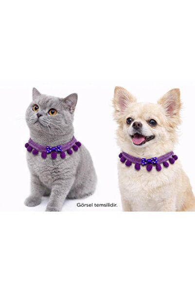 Mor Ponpon Ve Papyon Detaylı Kedi Köpek Tasması (Çanlı)