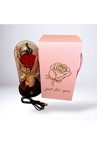 OEM Rose for Girlfriend Dome with LED Lights, 22 cm