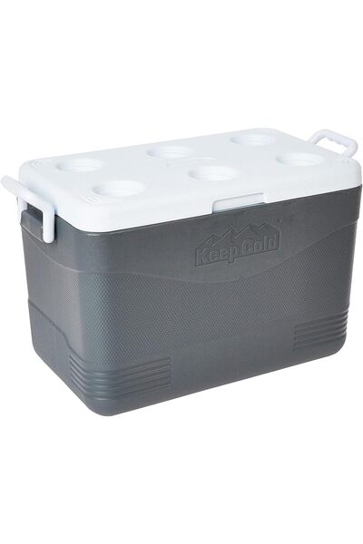 Cosmoplast صندوق تبريد بلاستيكي للسفر من كوزموبلاست، سعة 46 لترًا، لون رمادي