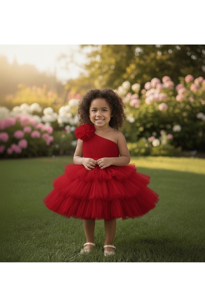 Asel Kids Дівчача сукня з міні-тюлем, спеціальний дизайн, бавовняна підкладка