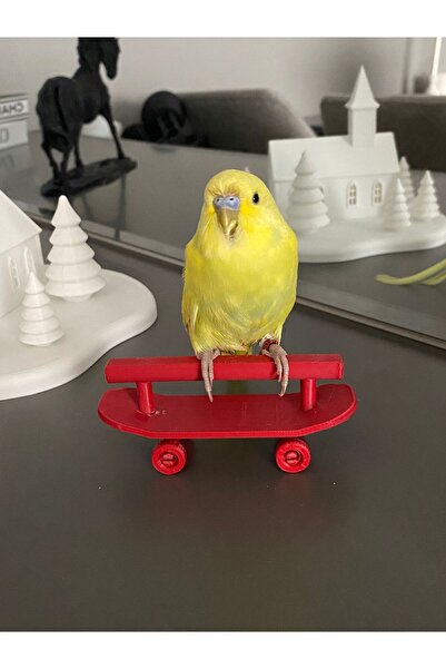 Goplast Premium Muhabbet Kuşu Ve Boyutlarındaki Kuşlar Için Kaykay Tünek