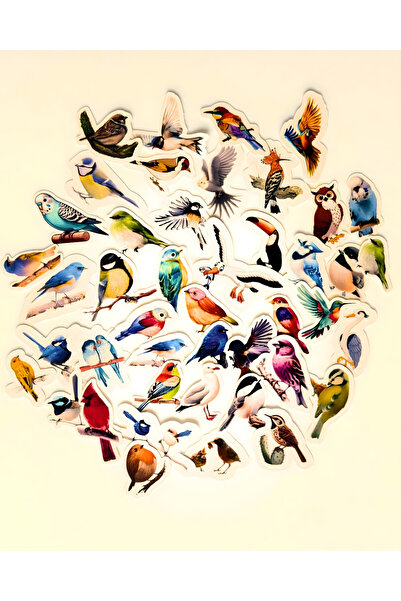 Studio D arte DIY KIT Set de autocolante cu păsări Bullet Journal Agenda Lapt...