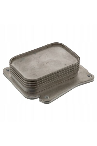 FEBI BILSTEIN Маслен радиатор, FEBI BILSTEIN, 100743, сив