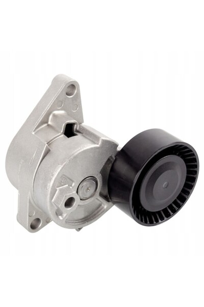 FEBI BILSTEIN Intinzator Curea Curea Distributie Bmw 3/5/7 1995-2008