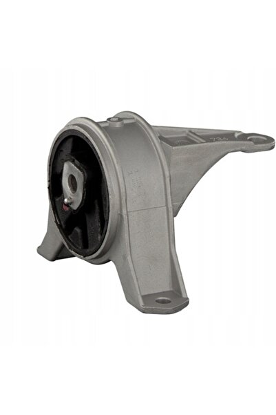 FEBI BILSTEIN Тампон на двигател, Febi Bilstein, 15724