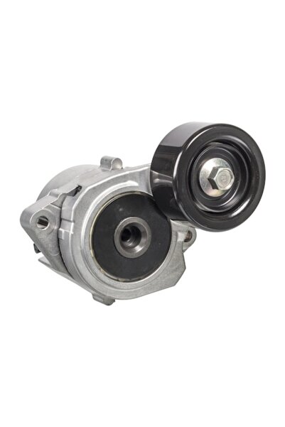 FEBI BILSTEIN Intinzator Curea Curea Distributie Honda Accord 7/Civic 8/Cr-5 ...