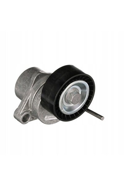 GATES T38313 Tensionator de curea