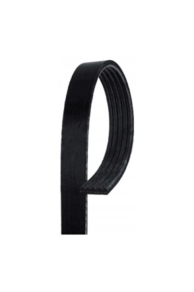 GATES Curea Transmisie Cu Caneluri Audi A4 B5/A4 B6/A6 C5 Fiat Ducato Panoram...