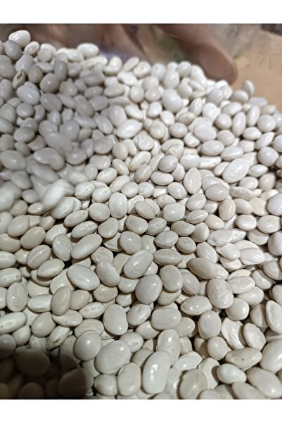 KURMEYSAN Baby Şeker Fasulye 500 Gr (ekstra küçük boy)