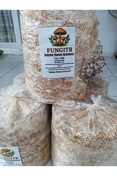 fungitr 7 Lt 3 Kg Istiridye Mantarı Miseli Tohum Kompostu Mantar Vermeye Hazı...