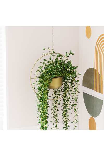 MOİRA Dekoratif Metal Saksılık,Askılı Ayarlanabilir Yuvarlak Sarkıt Modern Ka...