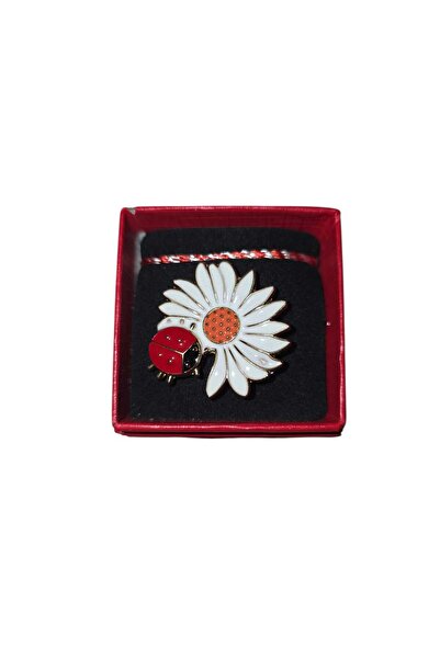 AnoaSales Set of 6 brooches in a box