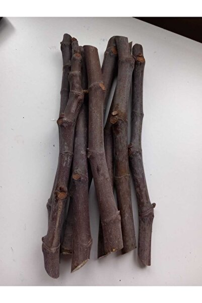 Gönen Aronya Bursa Karası İncir Çeliği & Aşı Kalemi 10 adet