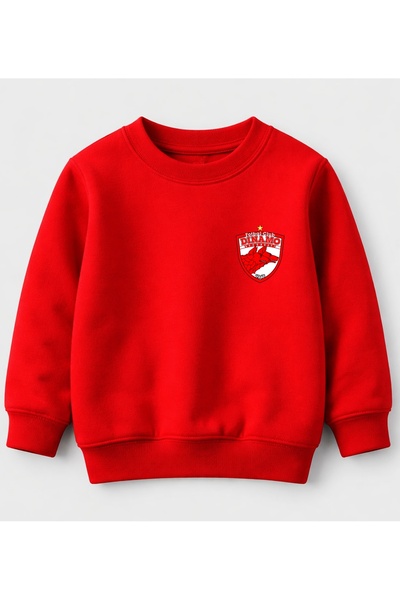 Efendioğlu Design Swea tricou KIDS Dinamo București 1948 club SMALL logo b cu...