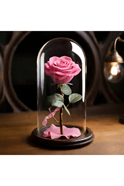 naniland.ro Cryogenic rose in glass dome, with elegant base