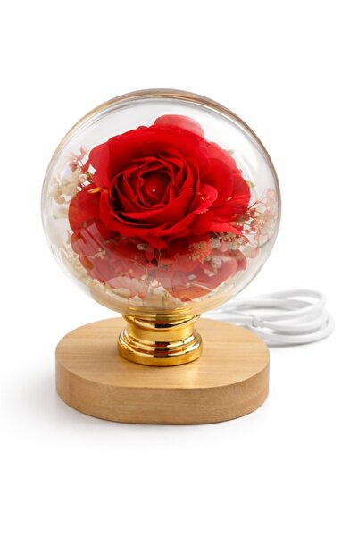 naniland.ro Decorative lamp with cryogenic rose in glass globe – USB powered
