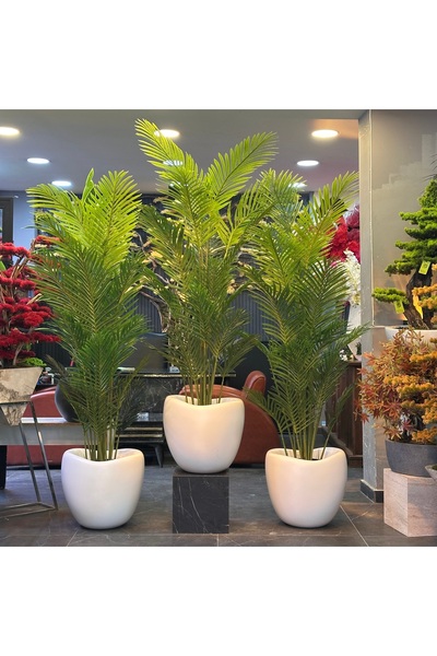 Adayapaycicek Yapay çiçek areka 200 cm 18 yaprak yapay ağaç