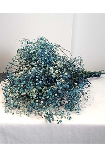 Birlik Cipso Çiçeği Şoklanmış Lacivert