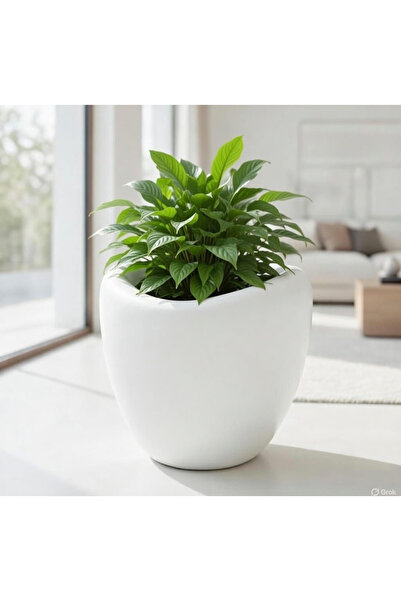 Adayapaycicek Harika tasarım saksı 40 cm beyaz renk