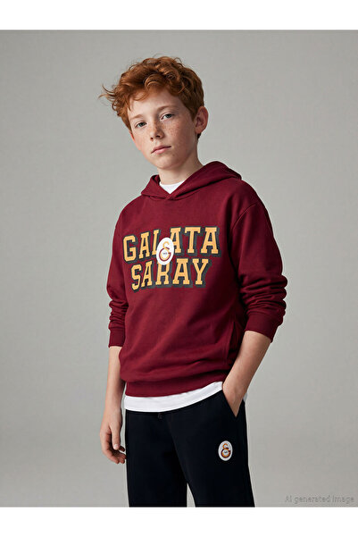 LC Waikiki Quality Parts Licensed Printed Boys' Sweatshirt from Çelebi Store