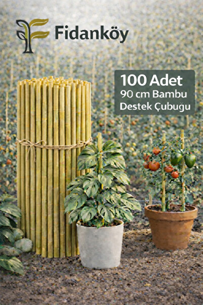 FİDANKÖY BAMBU ÇUBUK BAHÇE / SAKSI DESTEK ÇUBUĞU 100 ADET 90 CM