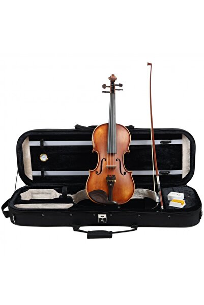 Carlovy VLA9-4/4 Keman (4/4) | İleri Seviye Öğrenci Kemani