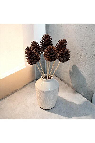 Dekora Çiçek 6 قطع من أعواد الخيزران للزينة هدية طبيعية باقة من الأكواز الطبيعية