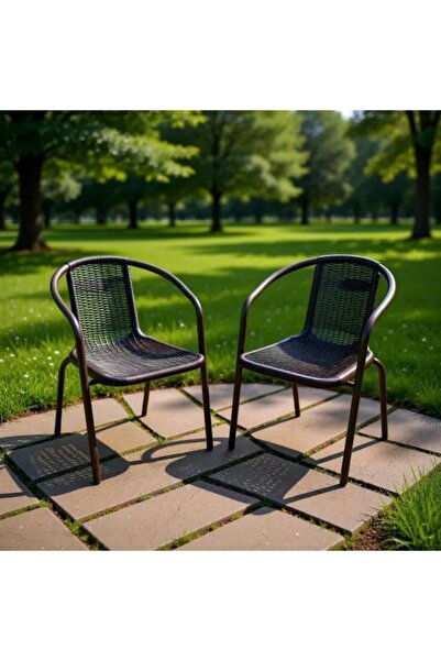 smart home 2-Piece Reinforced Plastic Dining & Garden Chairs with Metal Frame...