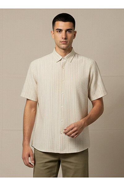 FAV Men Regular Fit Collared Striped Short Sleeves Shirt