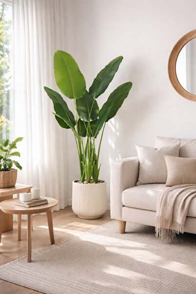 SADANHOME شجر ورق موز 3 حوض بلاستيك 160سم