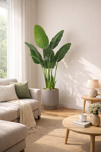 SADANHOME شجر ورق موز 3 حوض بلاستيك 160سم