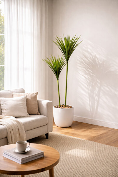 SADANHOME Cactus plant, 2 branches, 125cm plastic pot