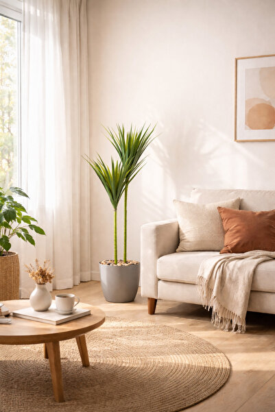 SADANHOME Cactus plant, 2 branches, 125cm plastic pot