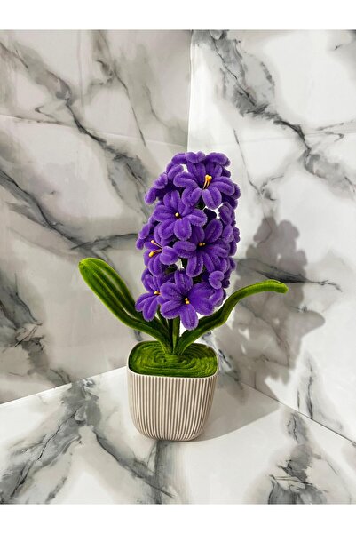 Lilia Flowers Mini Saksıda El Yapımı Sümbül Çiçeği