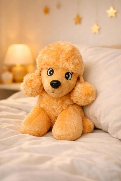 hak-iş oyuncak Honey Foam Color Poodle Dog Plush Toy – 25 cm