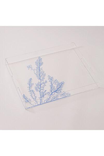 Dallaty صينية تقديم أكريليك، 40 × 30 × 6 سم