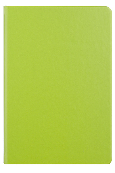 Ego Agenda A5 nedatată, verde deschis