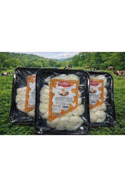 ATASOY PEYNİR ATASOY Burgu Yarım Yağlı Taze Eritme Peyniri 500GR