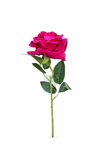 OEM Artificial rose, intense pink, velvet petals, elegant look, 45 cm