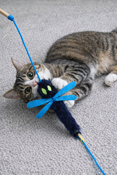 mastercat Lufian Cat Fishing Rod - Cat Toy