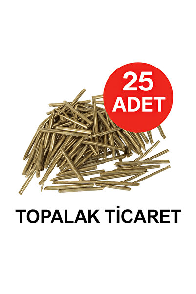 TOPALAKTİCARET Beton/parke/duvar Çivisi Çivi 2x30 Parke Çivisi 25 ADET