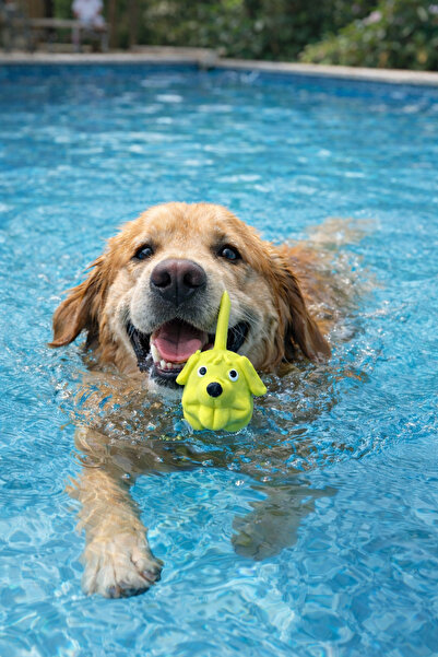 Trixie Dog Toy That Doesn'T Sink in Water - Colorful and Cheerful
