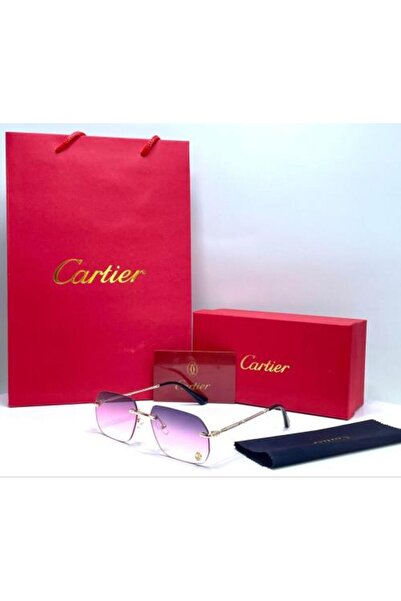 Cartier Glasses with Accessories