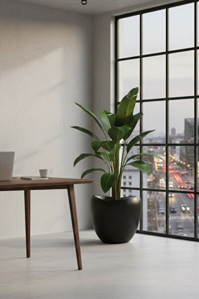 Bliss Lale Dekoratif Siyah Saksı 52 Lt - Büyük Boy Modern Salon & Bahçe Saksısı